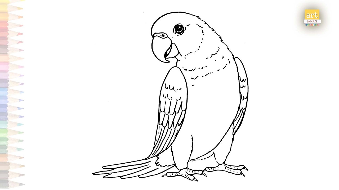Parrot drawing sketches | Birds outline drawings | How to draw A Parrot step by step | #artjanag