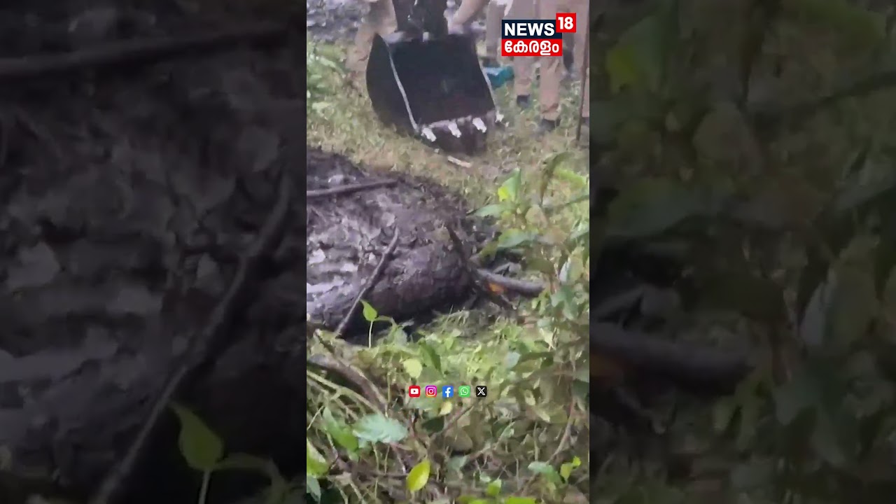 സെബാസ്റ്റ്യൻ Serial killer? വീടിന്&zwj;റെ പരിസരത്ത് നിന്ന് വീണ്ടും അസ്ഥികൾ കണ്ടെത്തി | Cherthala | N18S