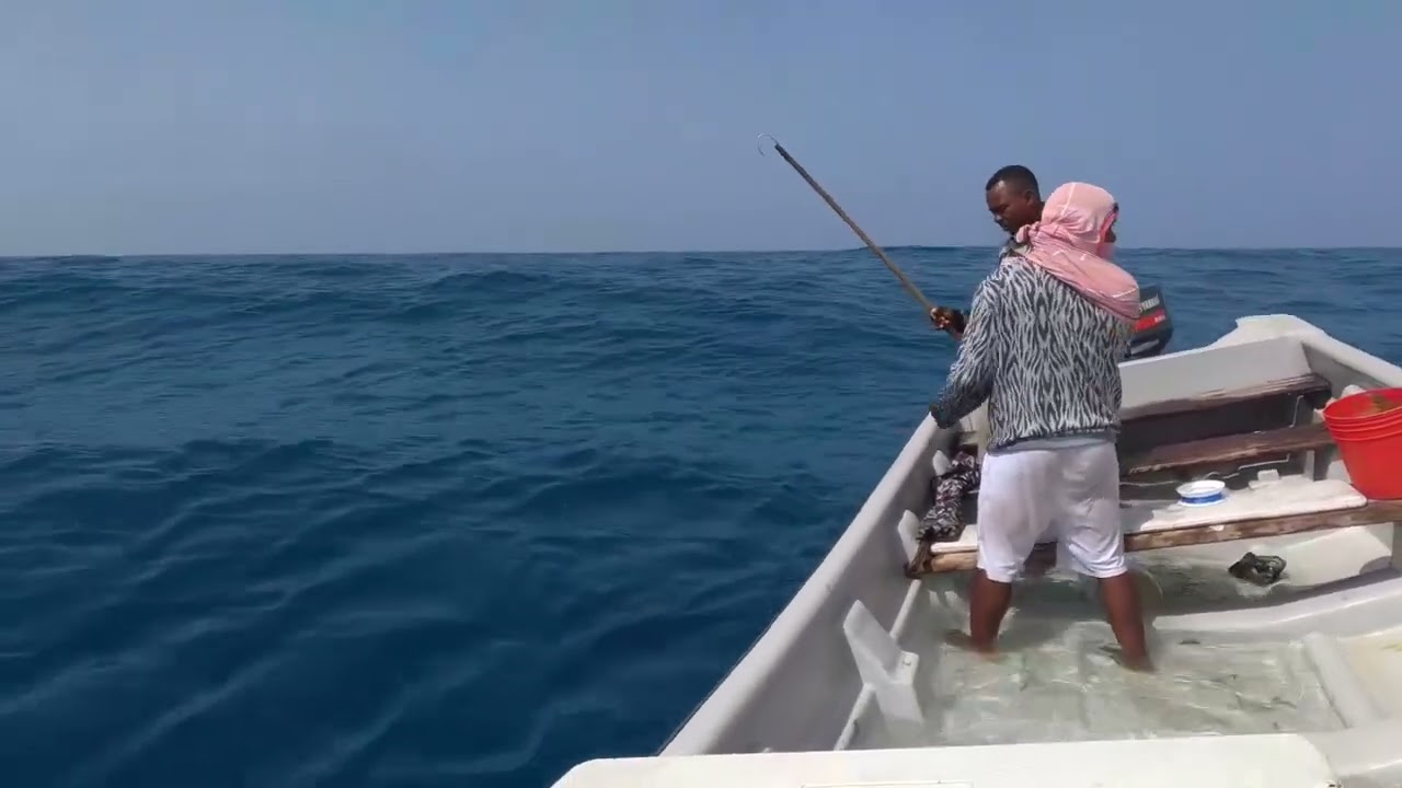 Pesca de carito con carnada viva 