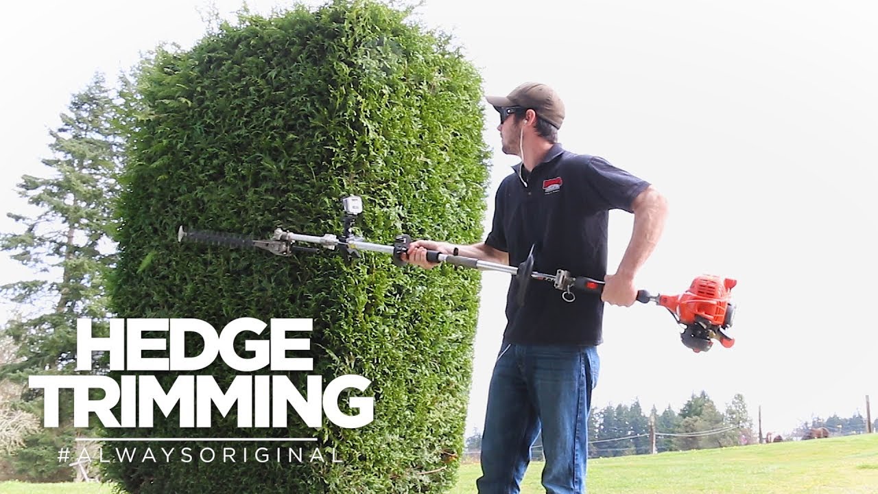 Hedge Trimming At The Grandparents | Time-Lapse
