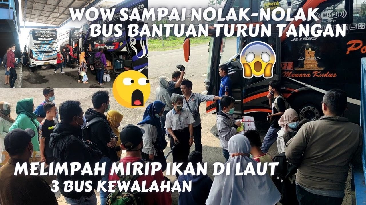 3 BUS KEWALAHAN! PENUMPANG HARYANTO MALANG SEMAKIN MENJADI-JADI