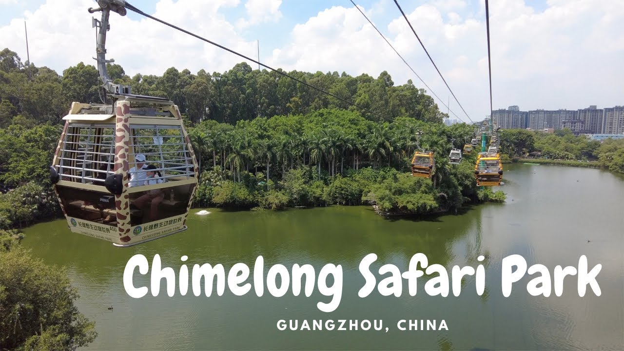 A Day at Chimelong Safari Park, Guangzhou, China