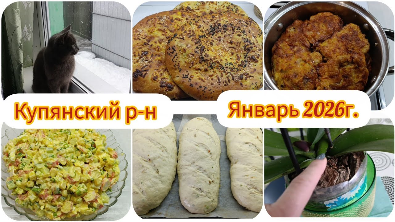 Наша жизнь как есть#луковыйхлеб #отбивные #хачапури #орхидея