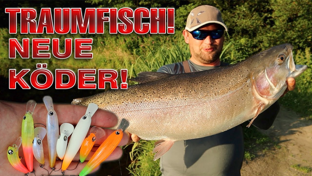 Mit so einem Monster habe ich nicht gerechnet | Forellenangeln im Sommer