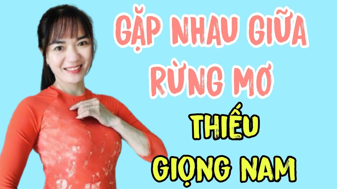 GẶP NHAU GIỮA RỪNG MƠ (Bảo Chung)| THIẾU GIỌNG NAM| MINH TÁNH KARAOKE