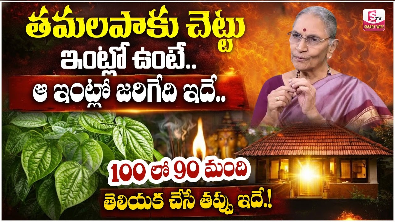 Anantha Lakshmi : తమలపాకు చెట్టు మీ ఇంట్లో ఉంటే ఏమౌతుందో తెలుసా? | Tamalapaku Plant | SumanTV Jaya