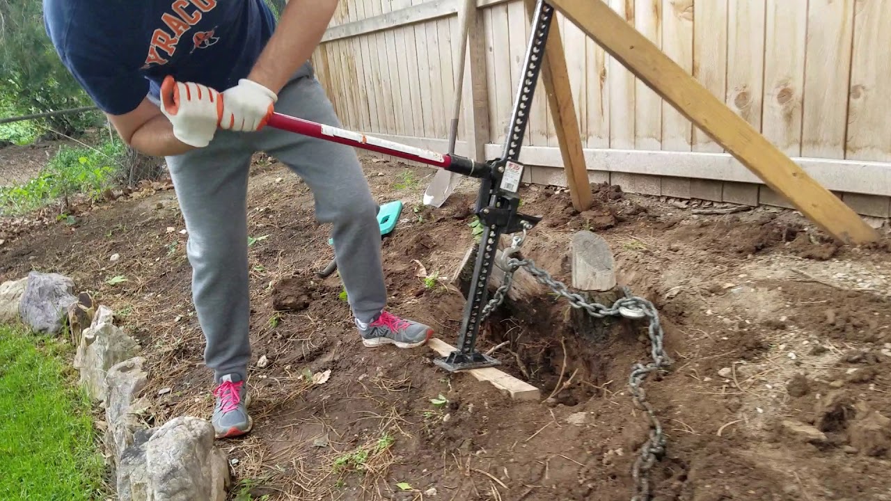 Tree stump removal DIY - pull it out with a Hi Lift Jack!