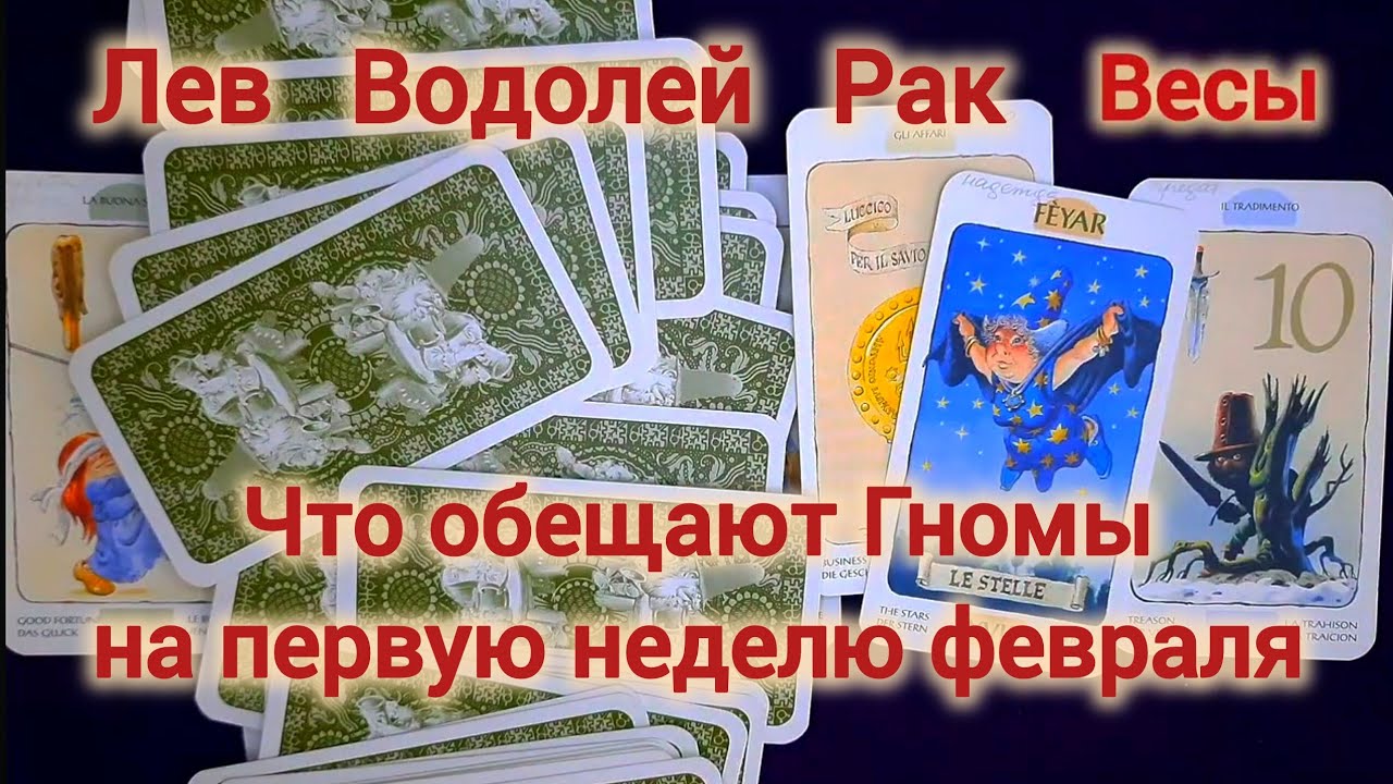 Таро Гномов ❤️ 1-я неделя февраля для Львов, Водолеев, Раков и Весов 