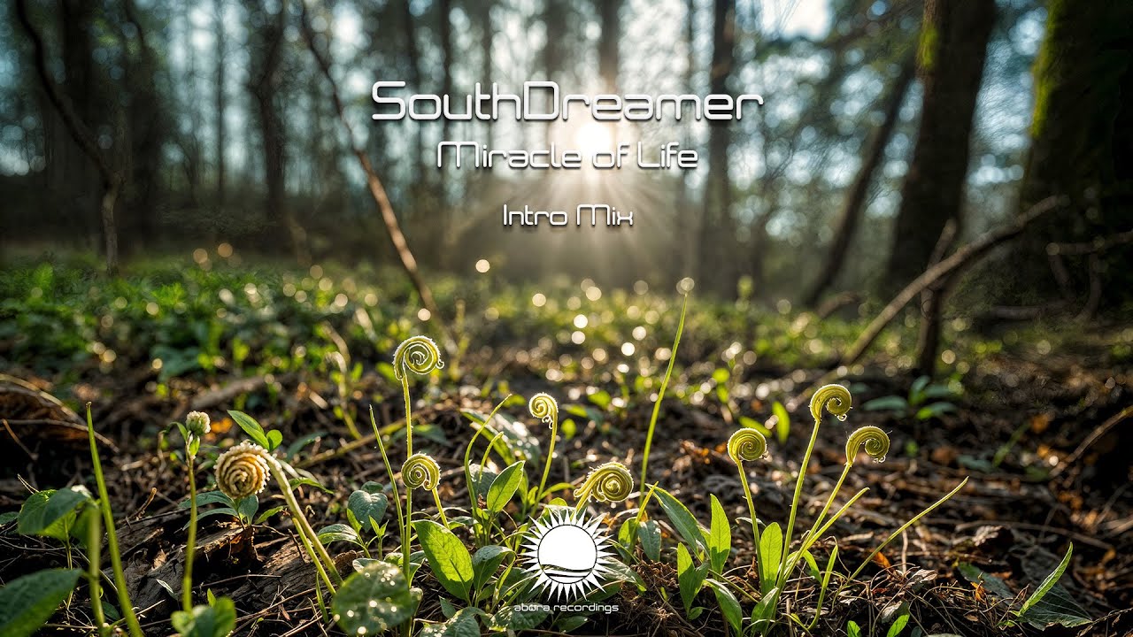 SouthDreamer - Miracle of Life (Intro Mix)