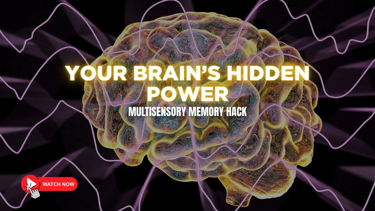 Your Brain&rsquo;s Hidden Power: Multisensory Memory Hack