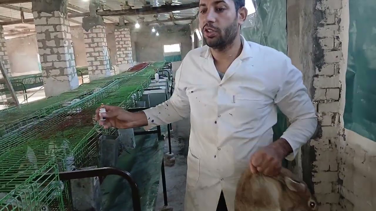 بطريقه بسيطه نعمل وقايه من التهاب الرحم