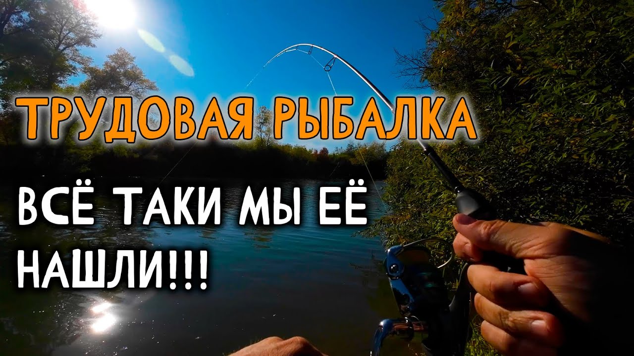 Трудовая рыбалка. Всё-таки мы её нашли! #Рыбалка #Иртыш #павлодар