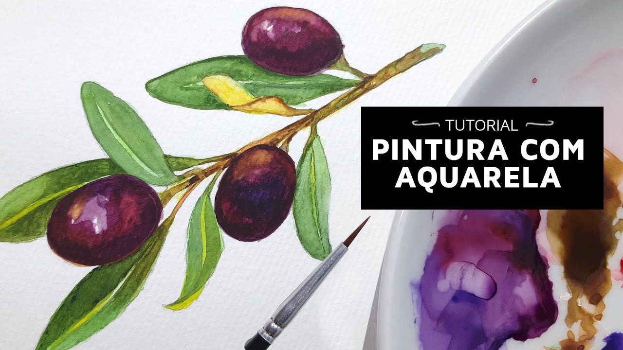 PINTURA: Azeitonas Pretas  REALISTAS com Aquarela  (tutorial completo) I Ilustração Botânica
