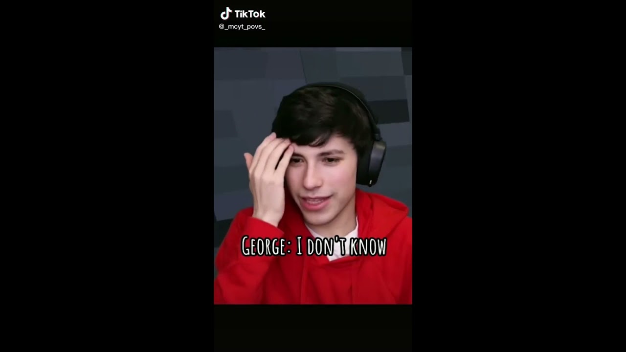 George's sister POV story (Wilbur x y/n)