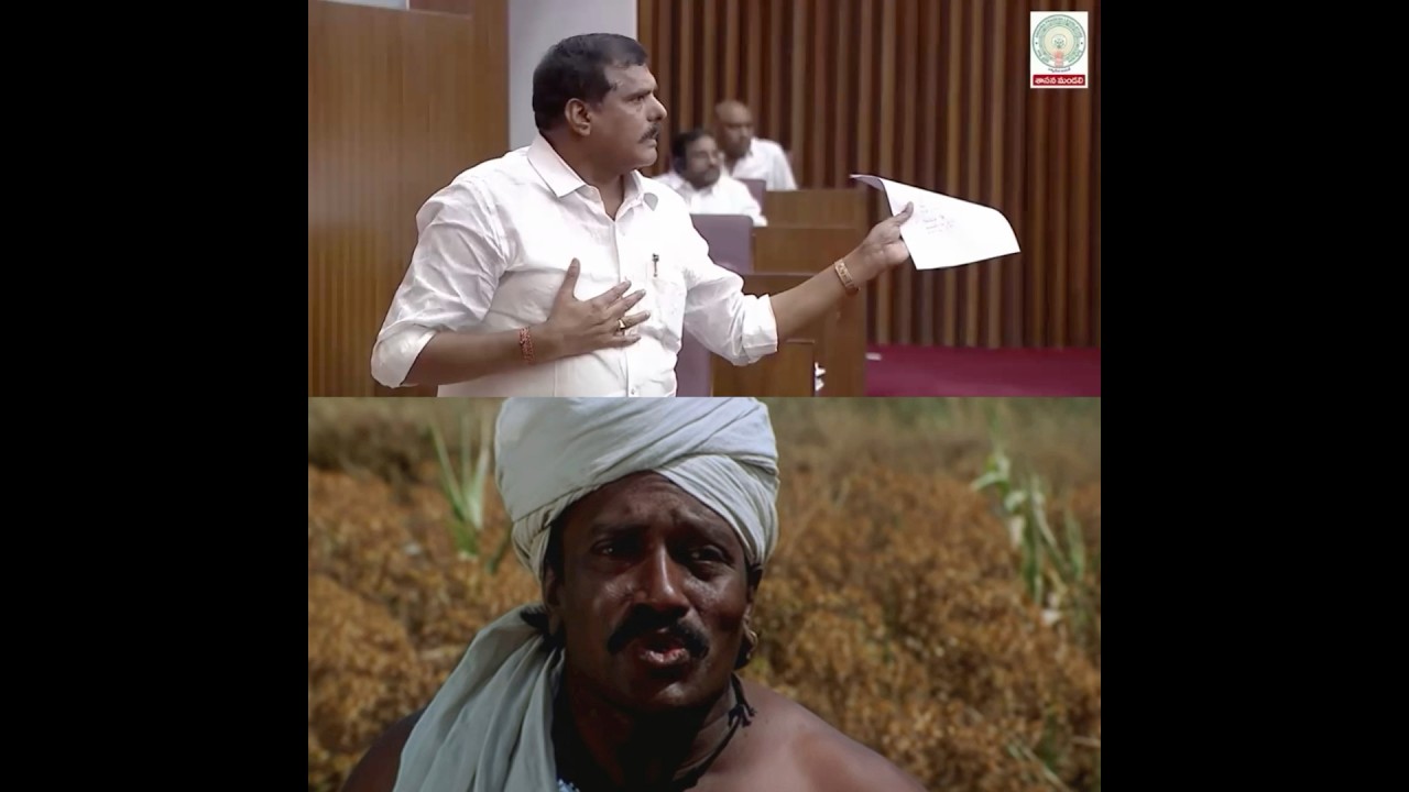 Botsa Shows Fake CAG Reports in AP Council! Payyavula Keshav Exposes Botsa&rsquo;s Lies! 🤣 #YCPExposed
