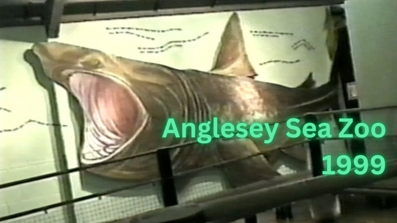 1999 (Apr) - Anglesey Sea Zoo - Home Video Footage