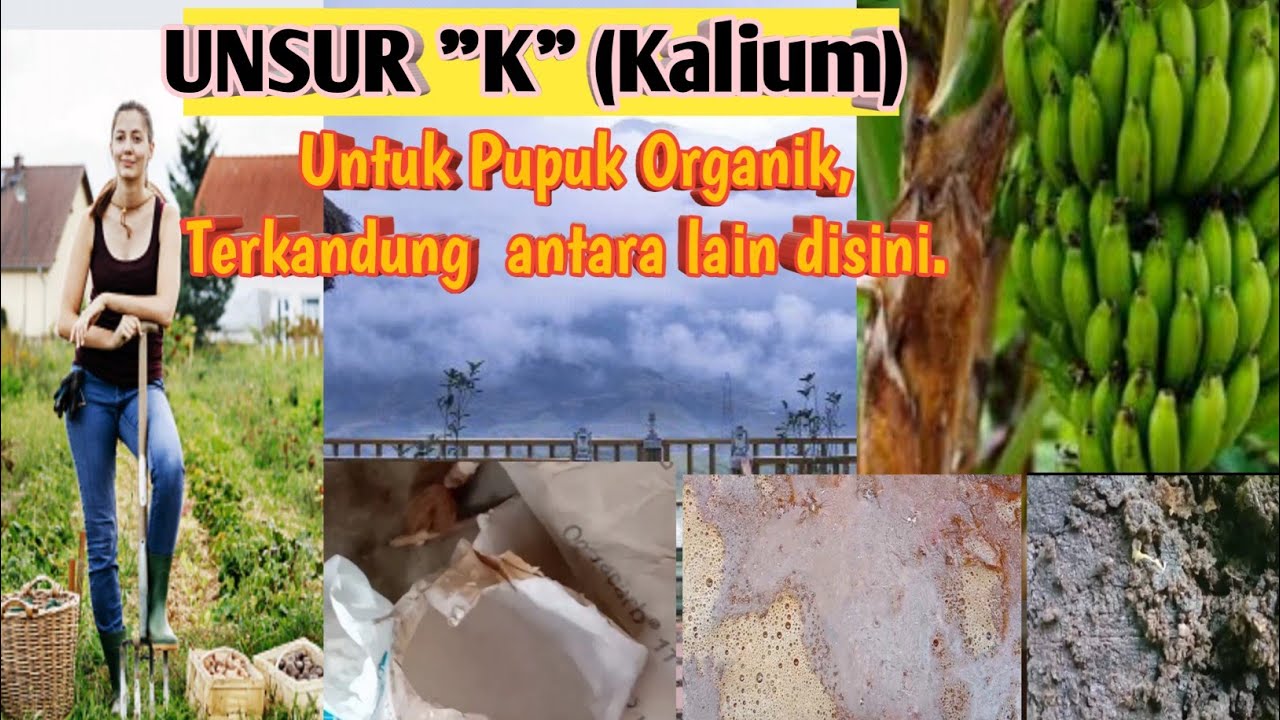 UNSUR 