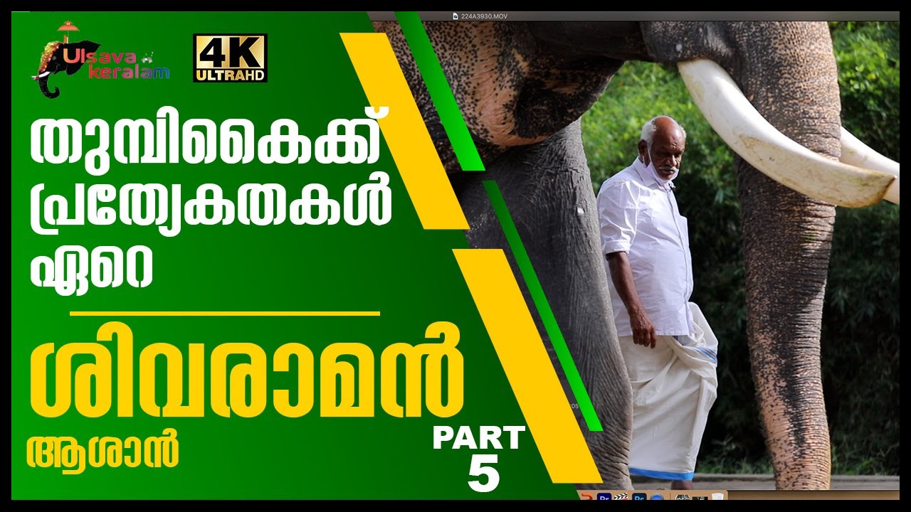 Specialties of elephant Trunk|തുമ്പികൈയുടെ പ്രത്യേകതകൾ|Shivaraman|Panayanarkavu kalidasan|EPI 104