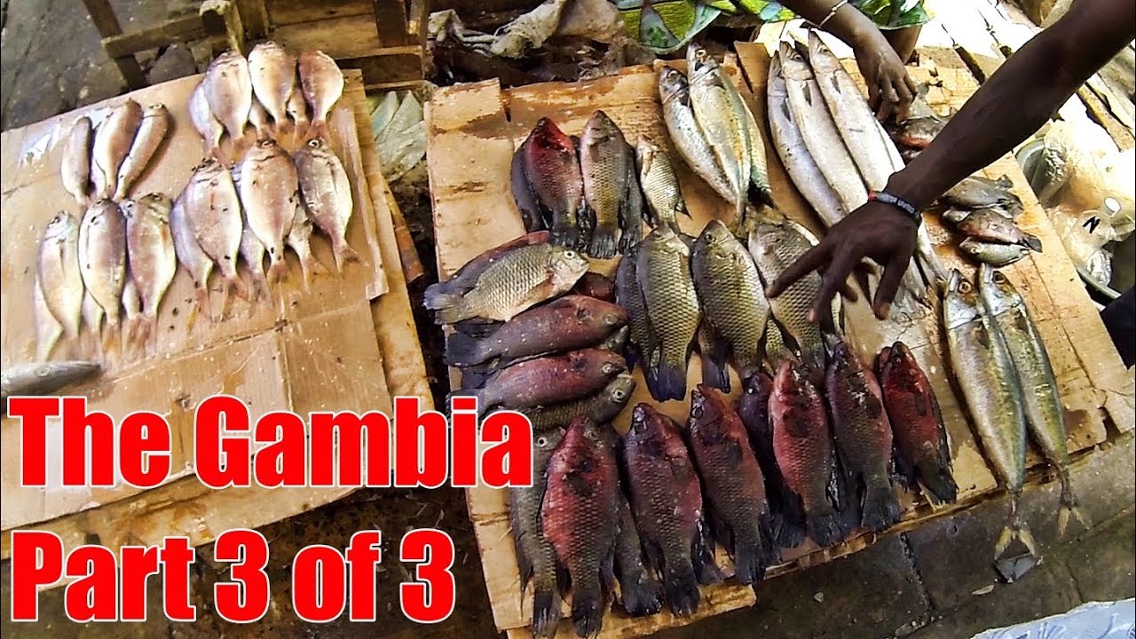 Africa, The Gambia Part 3 of 3 - Real Life For The People
