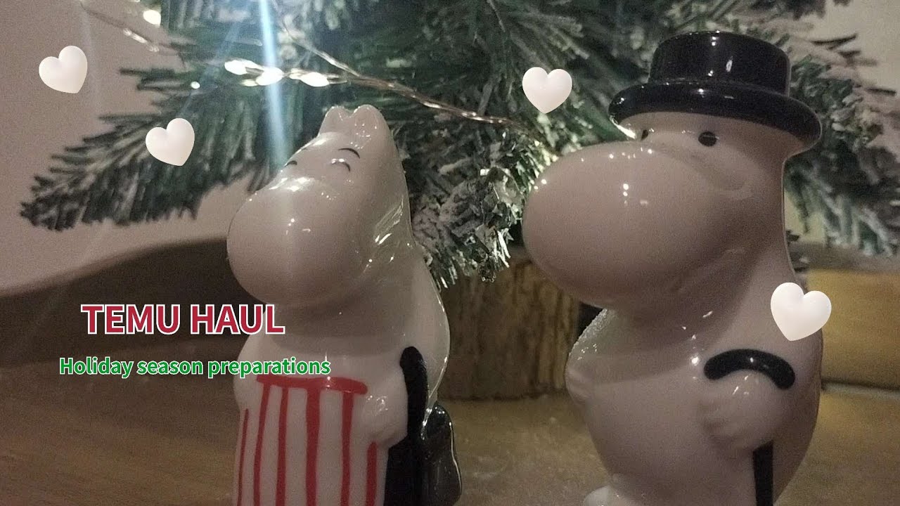 ♯23TEMU HAUL  temu購入品 冬支度 🎄*⋆クリスマス☃️Seria購入品❄主婦Vlog