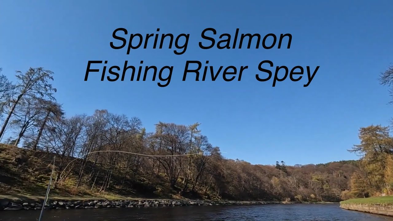 Spring salmon fishing Craigellachie, River Spey.