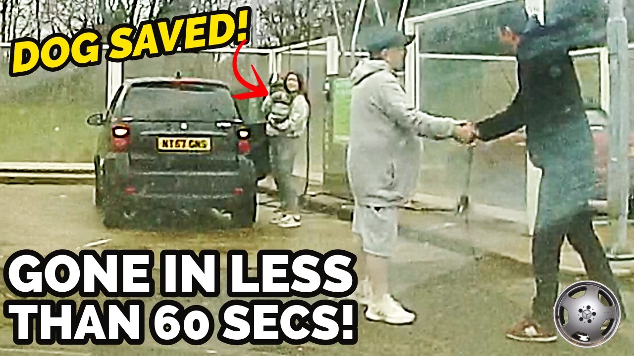 Breaking Into Mercedes Smart Car To Help Save Dog !