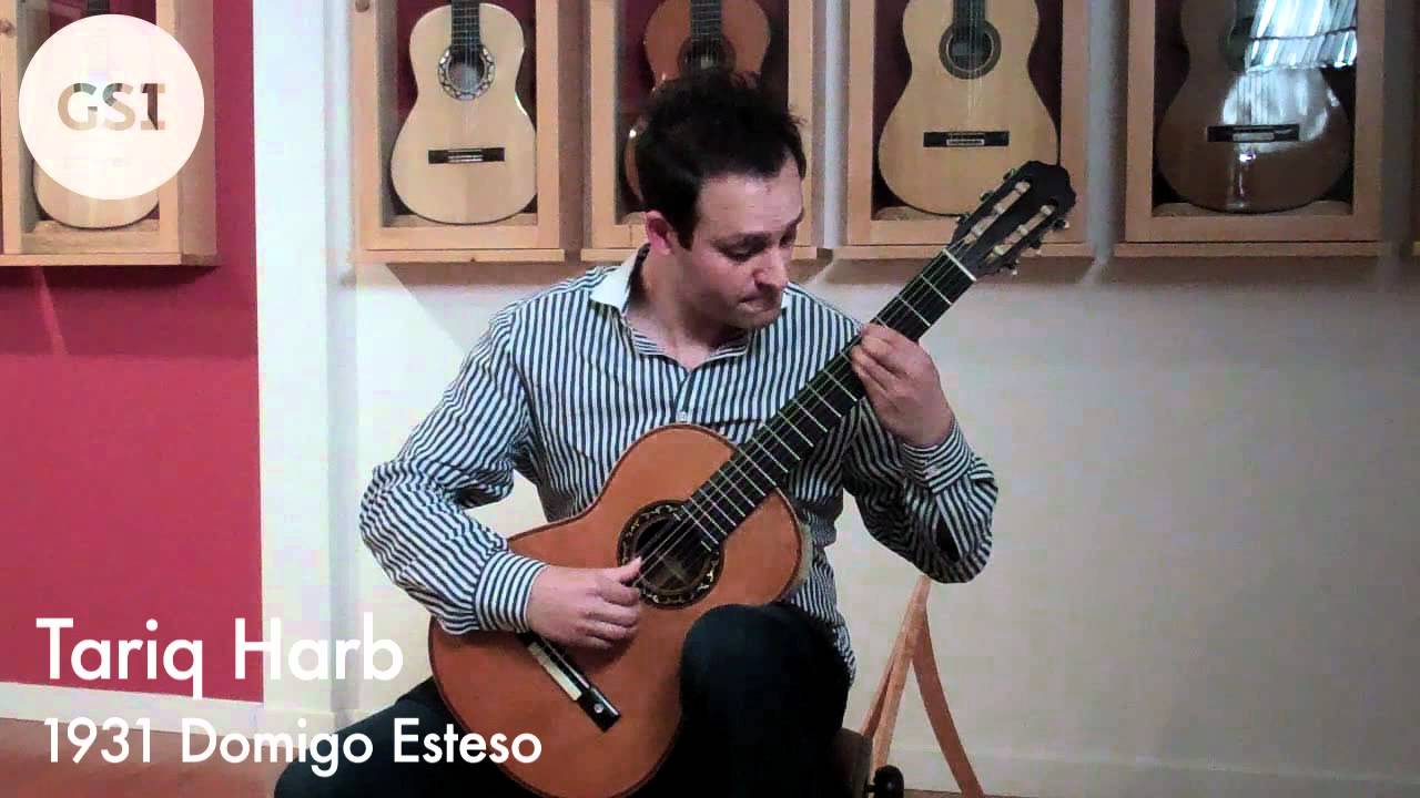 Rodrigo 'Concierto de Aranjuez - Allegro con spirito' played by Tariq Harb