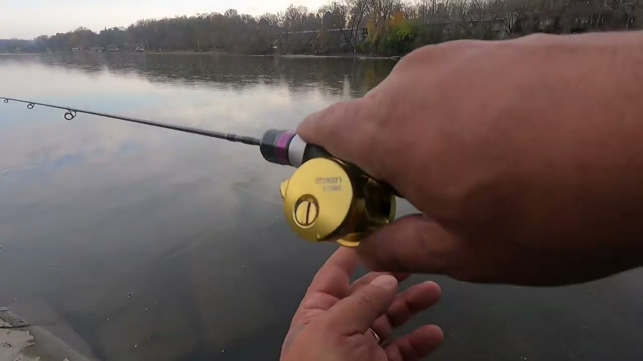 Loongze dbc-1 b51 on tsuyrinoa Ares 4’7” ul 11/17