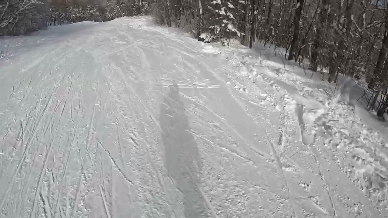 Middlebury Jan 31 2026 F