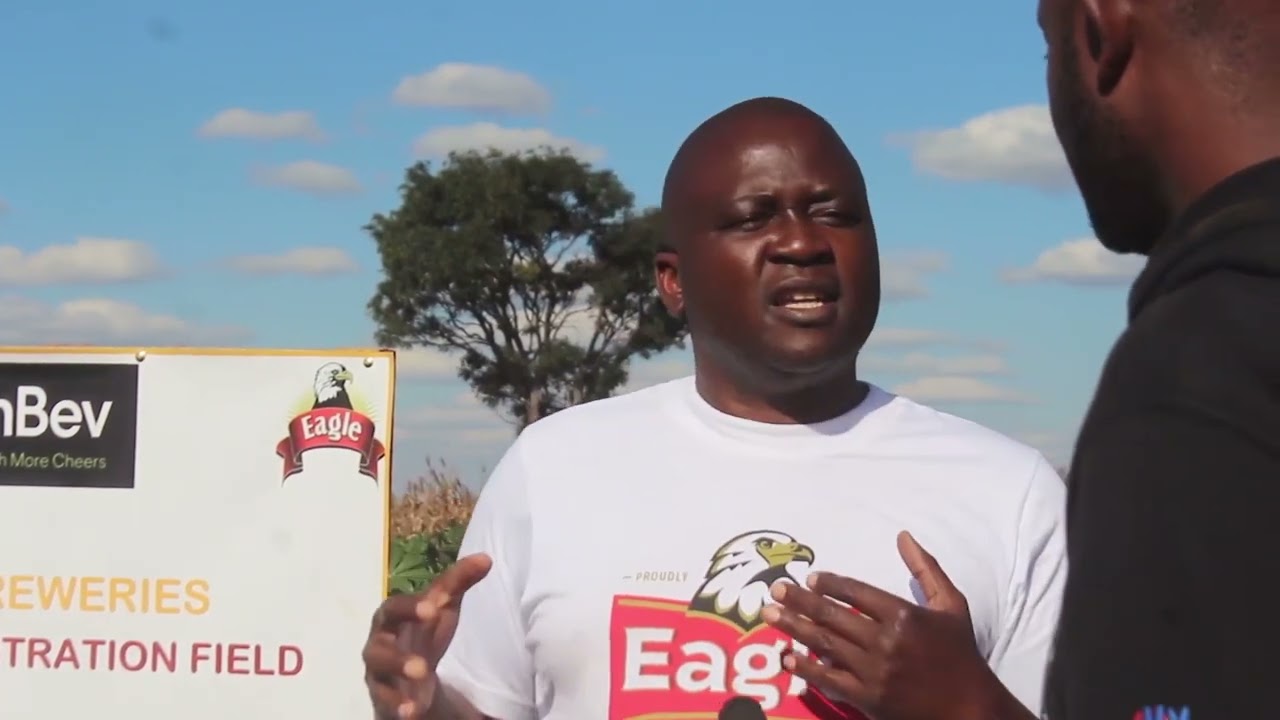 THE DIGEST - CASSAVA MARKETABLE TO ZAMBIAN BREWERIES