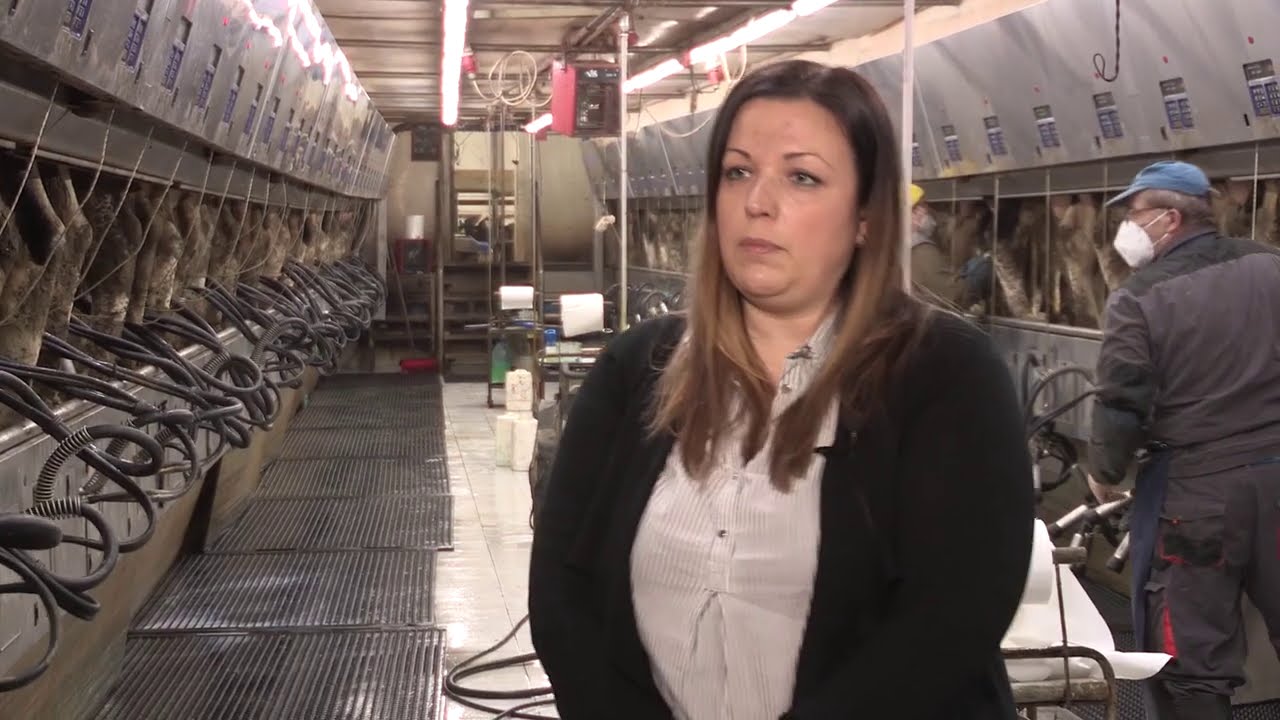 Imamo rešenje ep. 91 22.02.2021. Moderna farma krava
