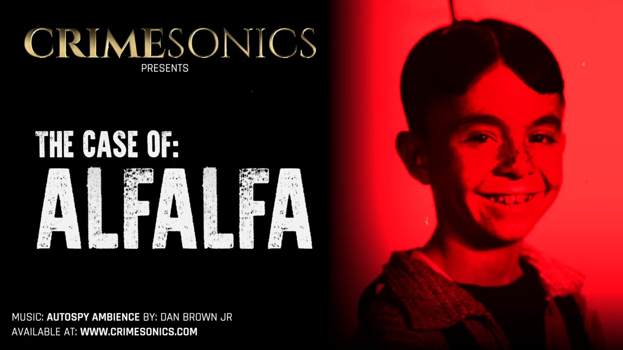 TRUE CRIME PODCAST - THE CASE OF ALFALFA 
