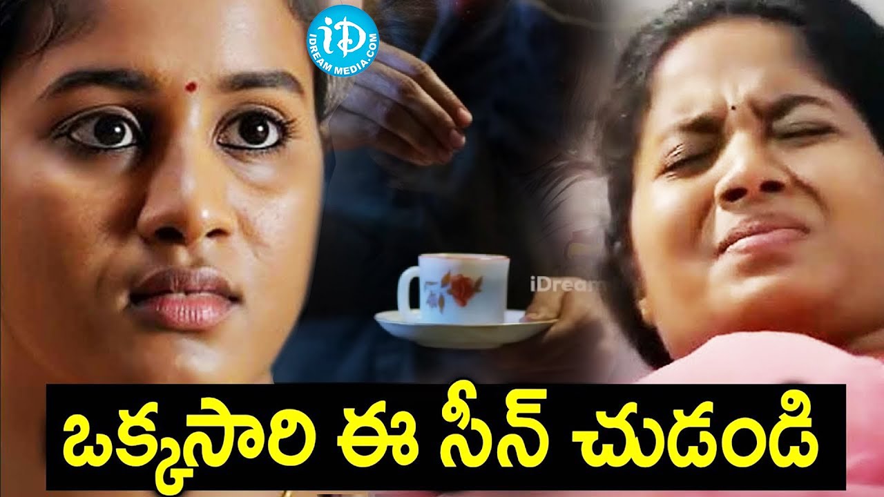 Brigida Saga Sindhooram Movie Intresting Scenes | Latest Telugu Scenes | iDream Tirupati