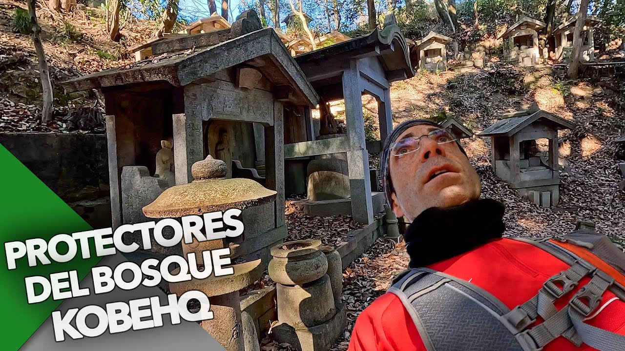 LOS PROTECTORES DEL BOSQUE - EXPLORANDO LA ZONA DE KOBEHQ