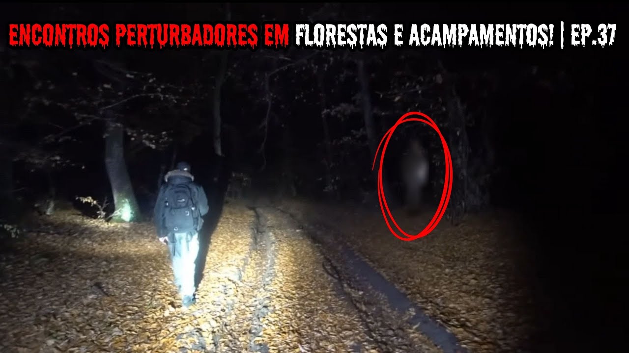 Encontros Perturbadores e de puro TERROR em Florestas e Explorações!  | EP.37