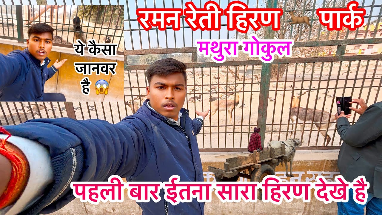 रमन रेती हिरण 🦌 पार्क 😱 इतने सारे विदेशी पछी कहाँ से आए 😱Raman Reti Hiran Park 🥰 Mathura Gokul dham 