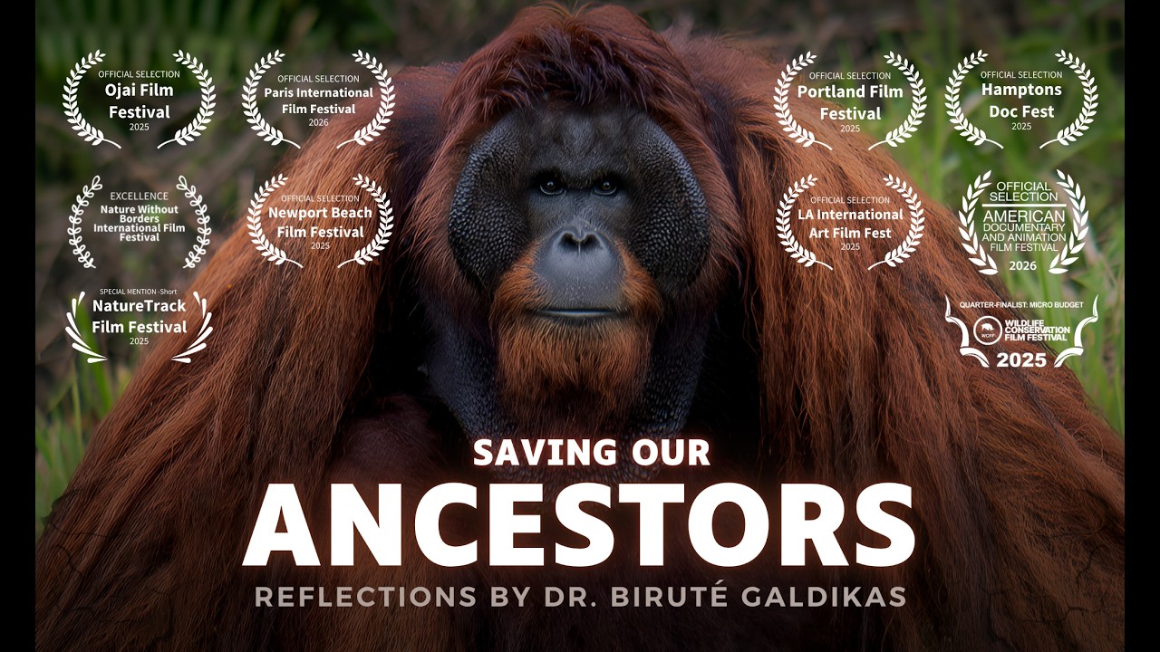 Saving Our Ancestors | Reflections by Dr. Birut&eacute; Galdikas