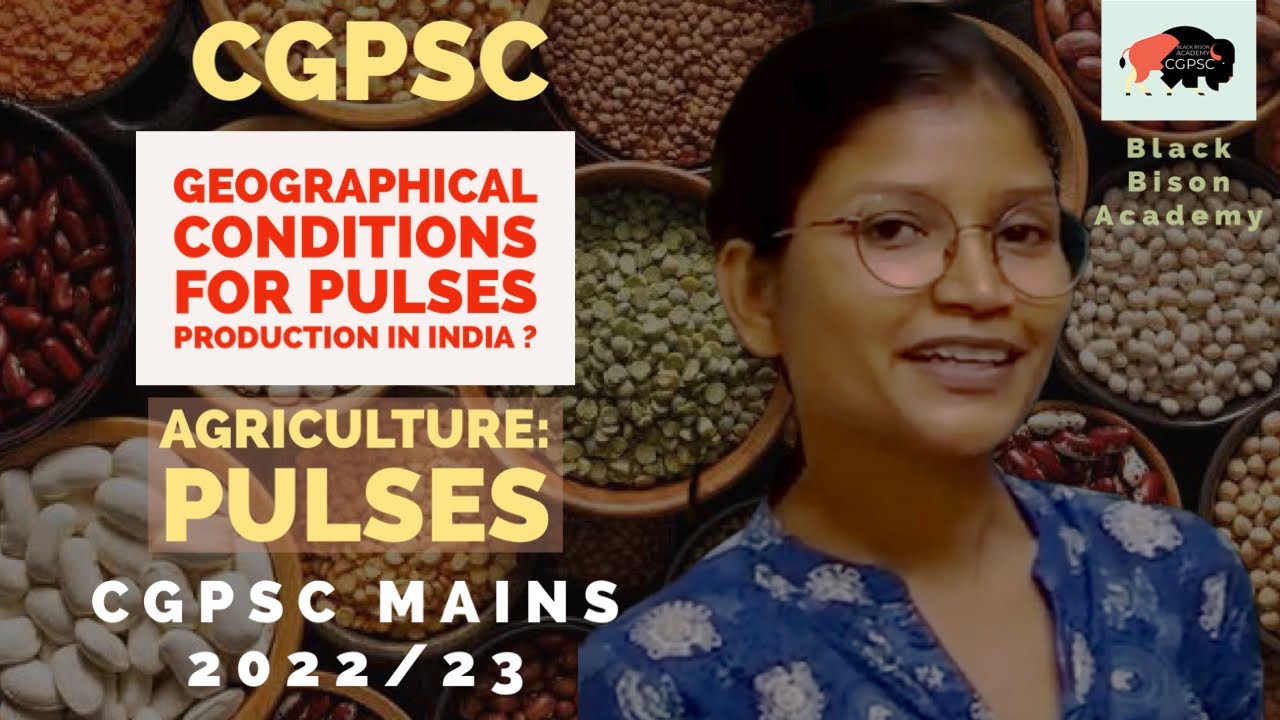 Mention Important Geographical factors of Pulses production in India? : How to write GREAT ANSWERS.
