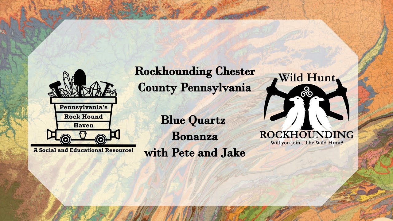 Rockhounding in Chester County, PA! Blue Quartz Bonanza!