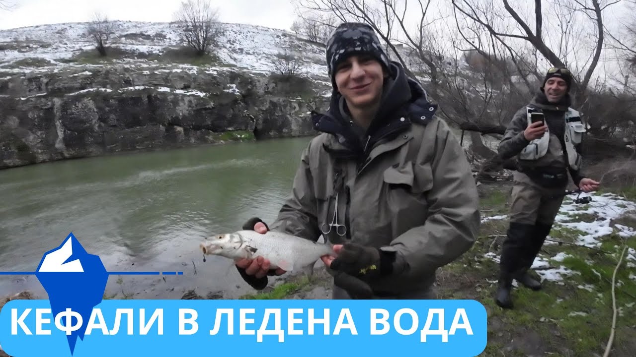 КЕФАЛИ В ЛЕДЕНА ВОДА