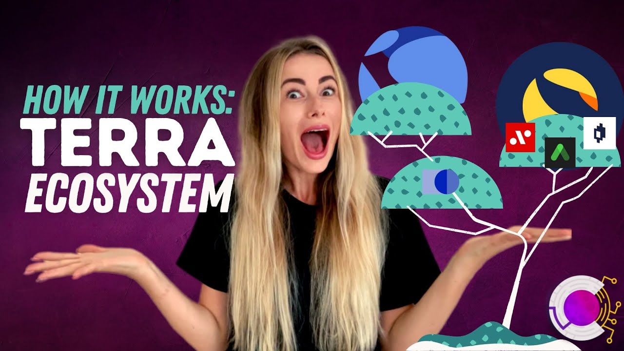 Terra Ecosystem Map: How Does Terra Work?