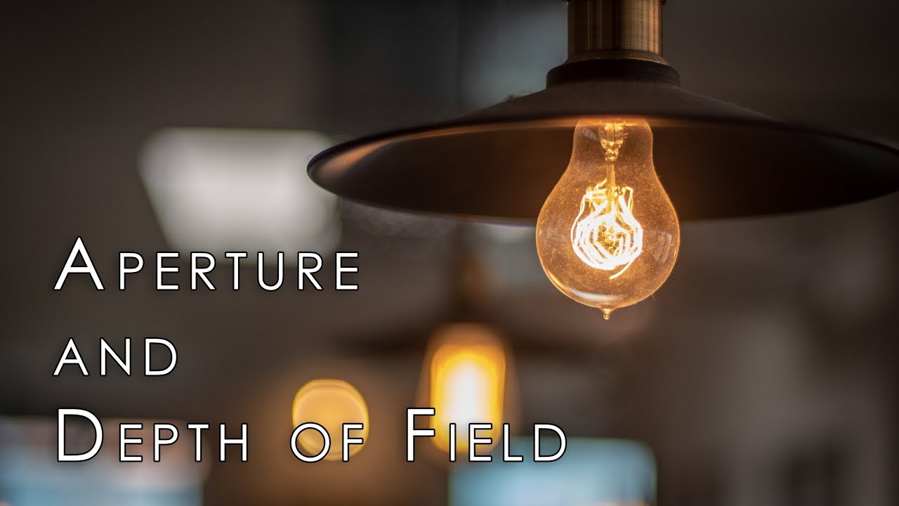 How To Use Aperture To Take Great Photos
