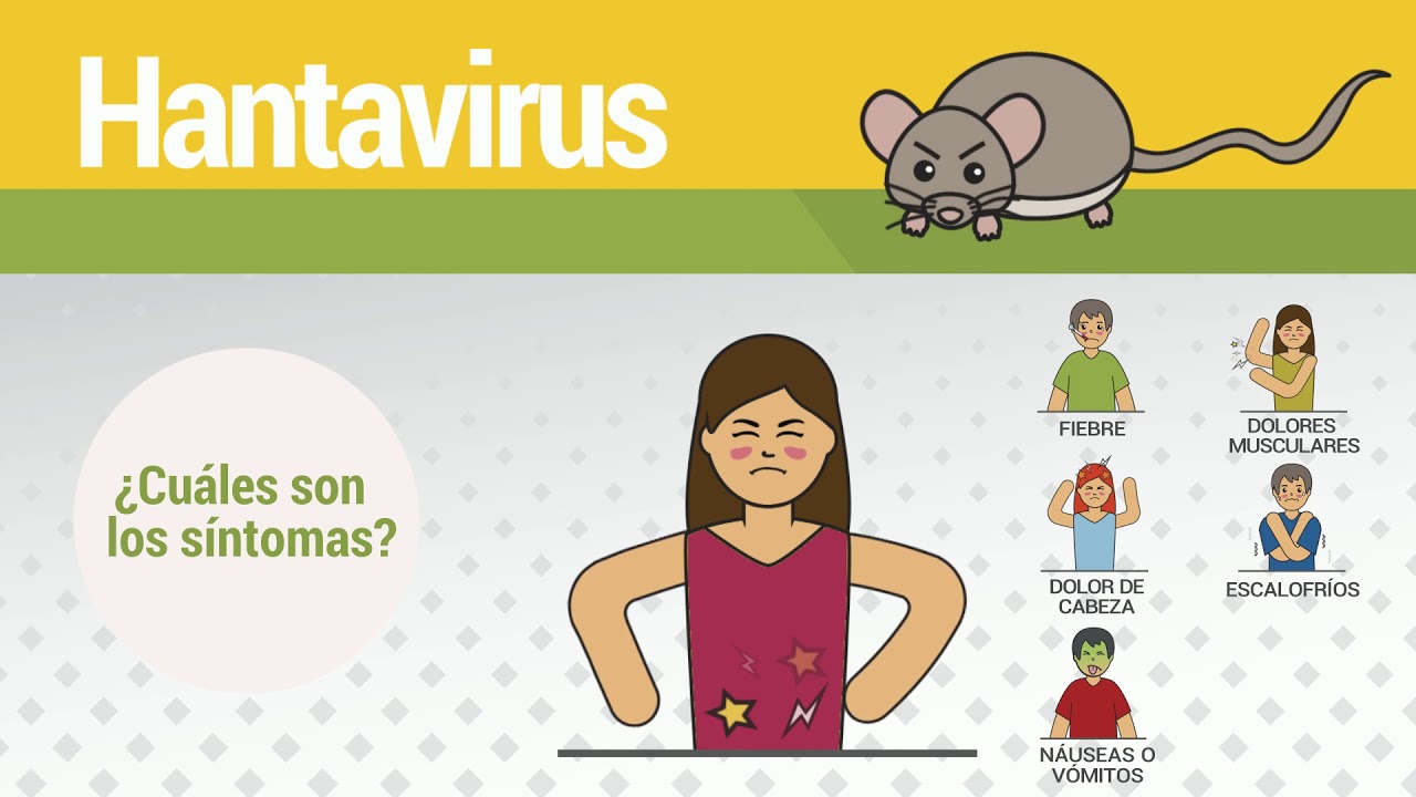 Hantavirus: ¿Cuáles son los síntomas?