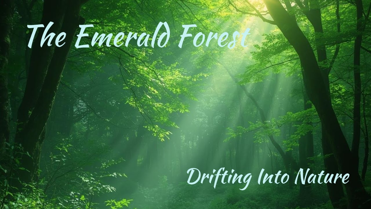 The Emerald Forest