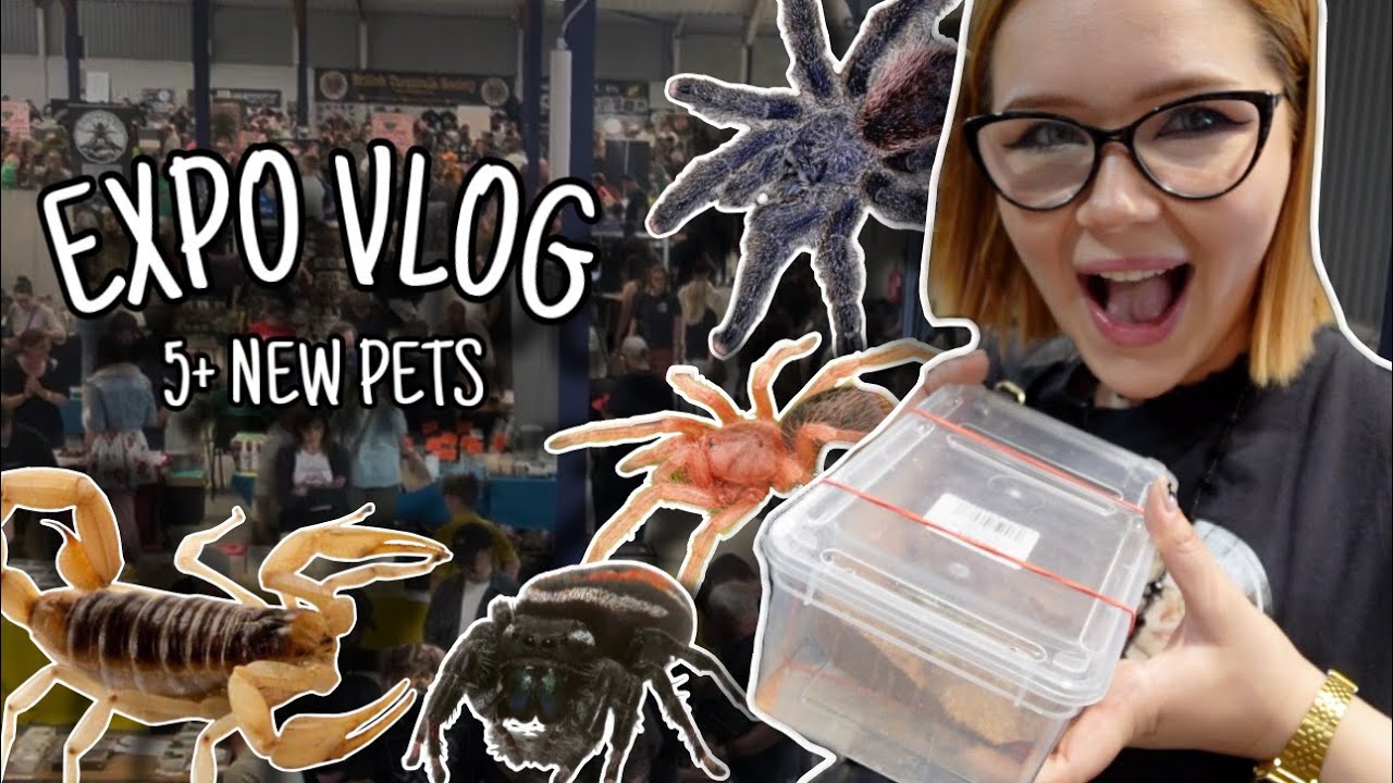 Getting My DREAM PETS From an Expo!?.. | BTS Vlog + Haul 2025