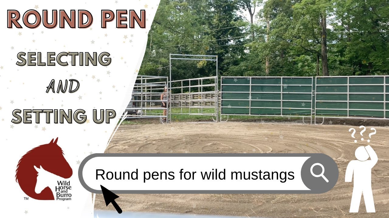 How I chose my round pen | Setting up a round pen for a wild mustang!