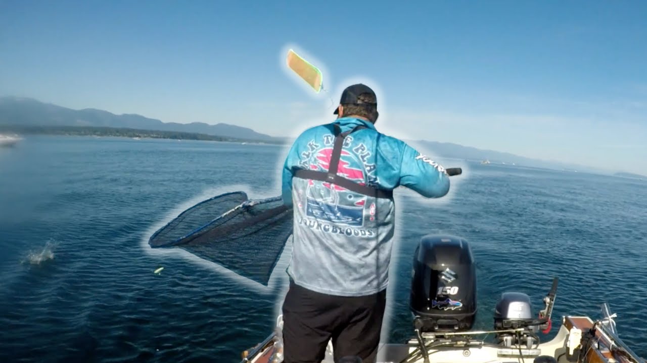 The Salmon Are Fighting Back! #salmonfishing