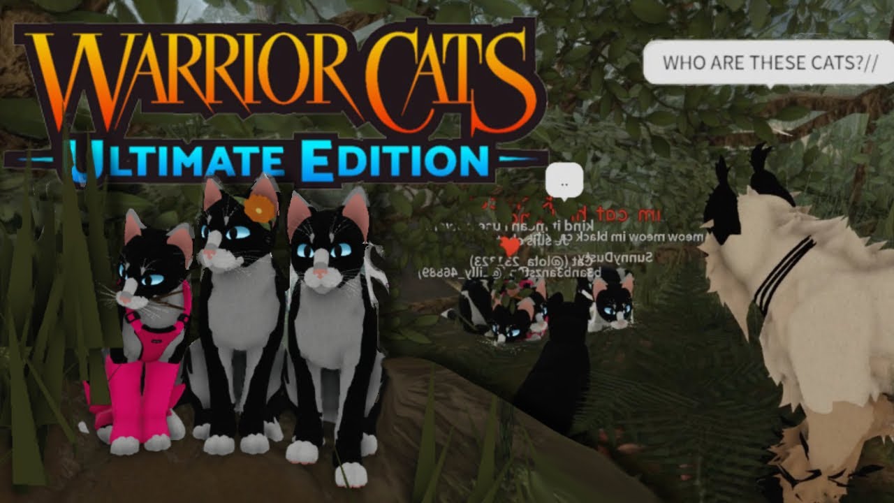 Finding the most UNHINGED WCUE RP?! (We turned into Lunas)