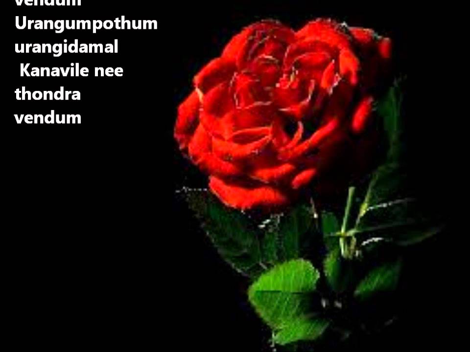 Uyirin Uyire - Thaandavam *with lyrics*
