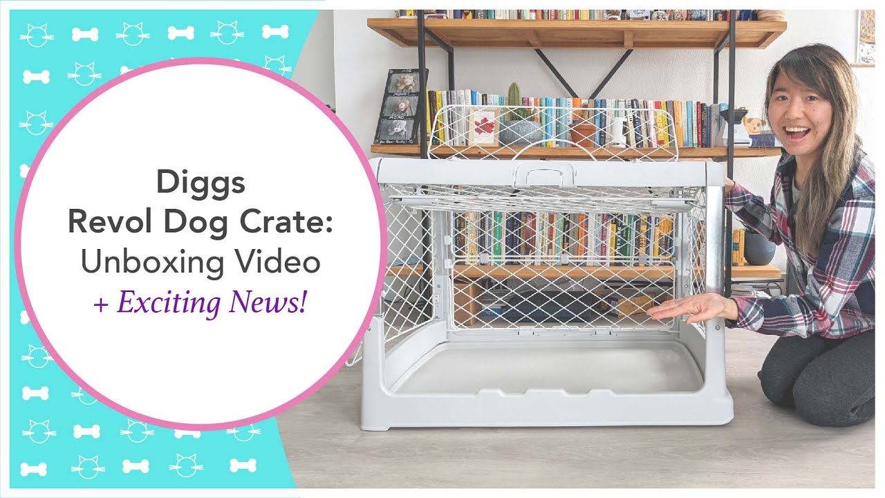 Diggs Revol Dog Crate [Medium]: Unboxing Video + Exciting News!